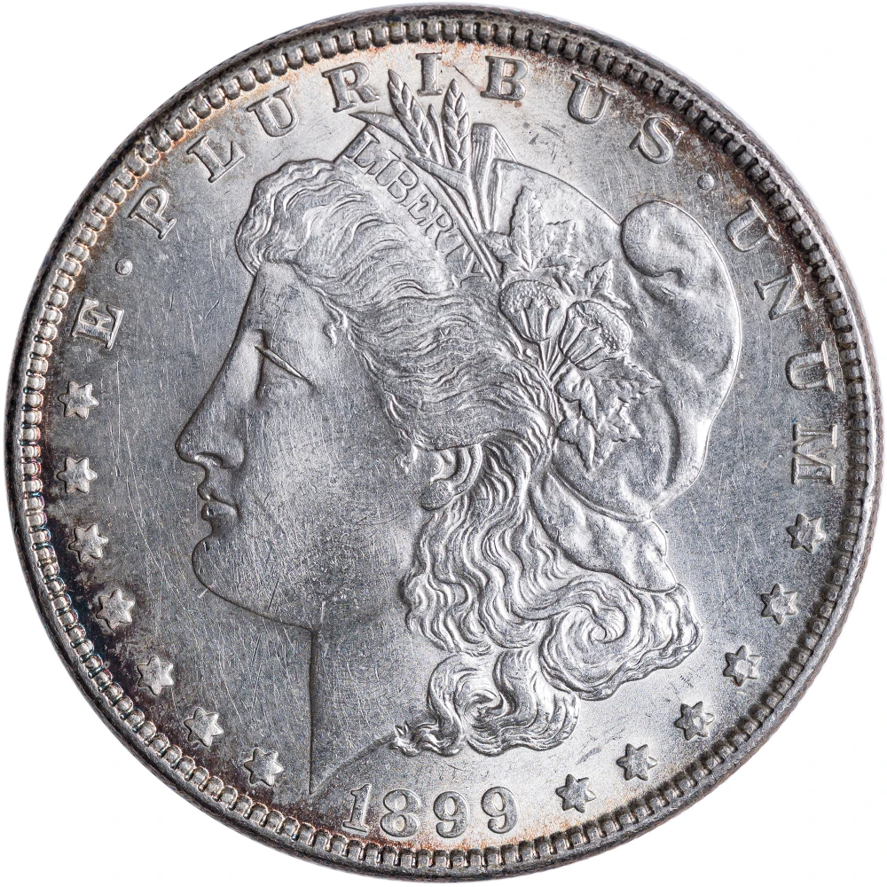 Unc Details 1899 Morgan Dollar