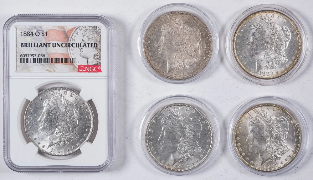 5 Different BU Morgan Dollars