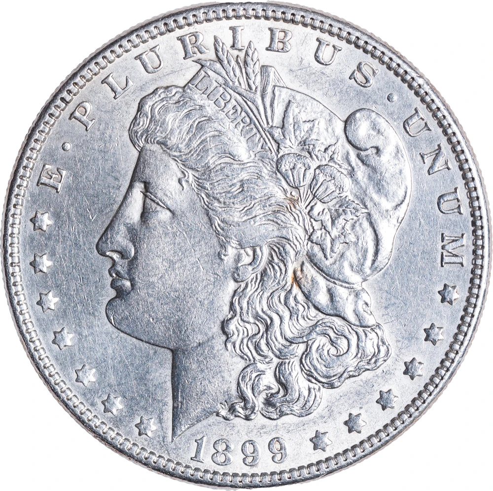 AU-58 Details 1899 Morgan Dollar