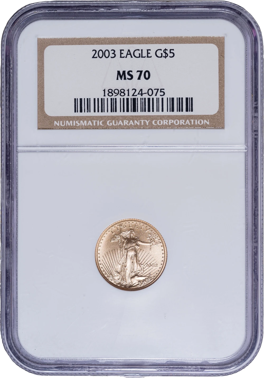 NGC MS-70 2003 1/10 Ounce Gold Eagle