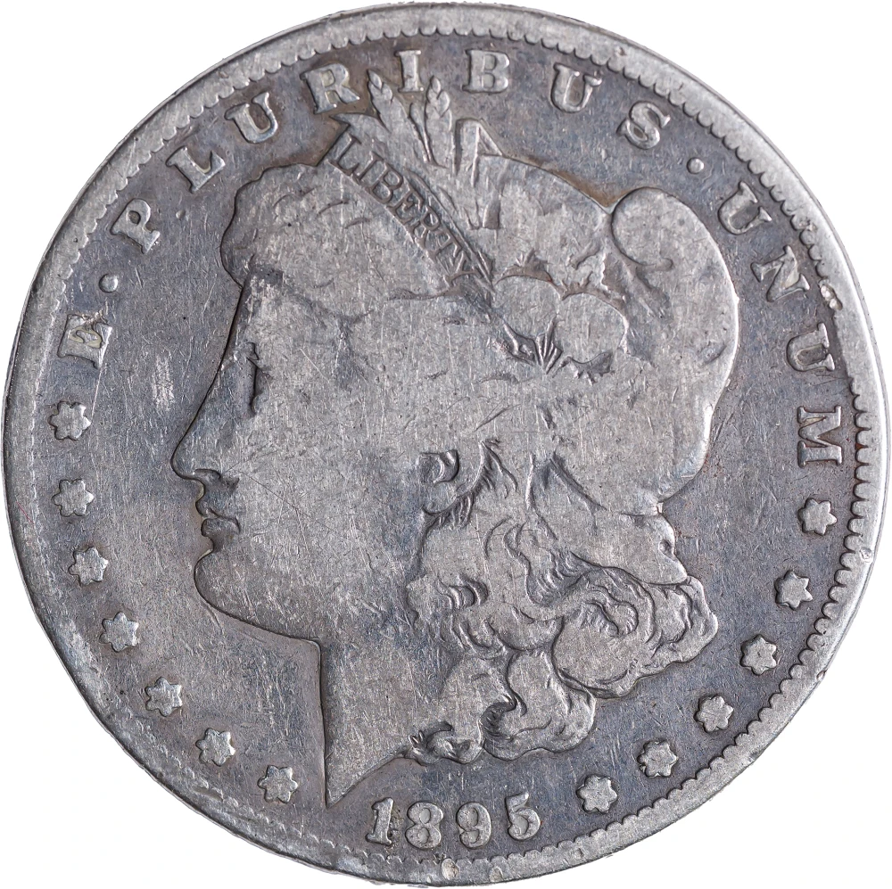 VG-8 1895-S Morgan Dollar