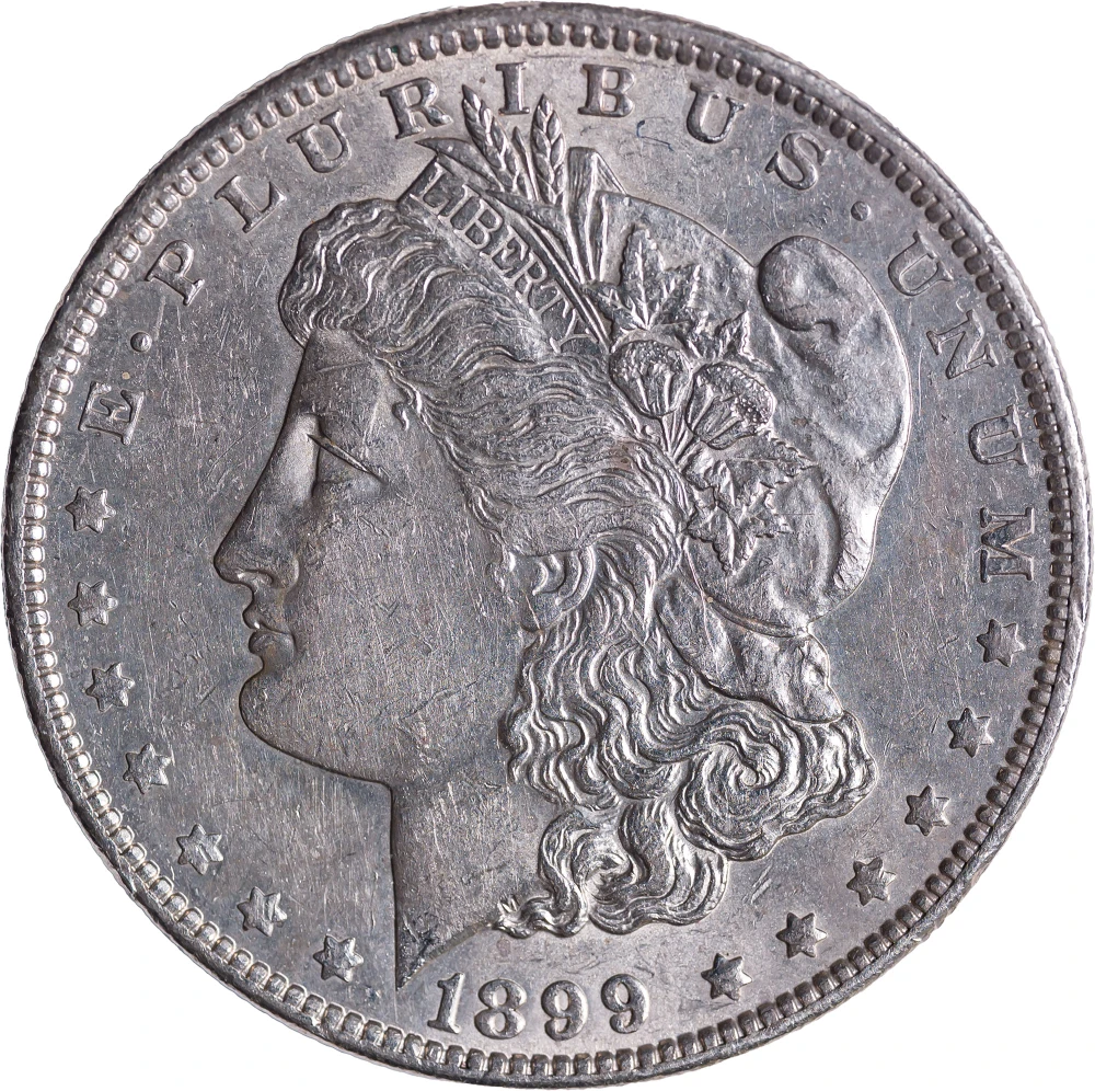 UNC Details 1899-O Micro O Morgan Dollar