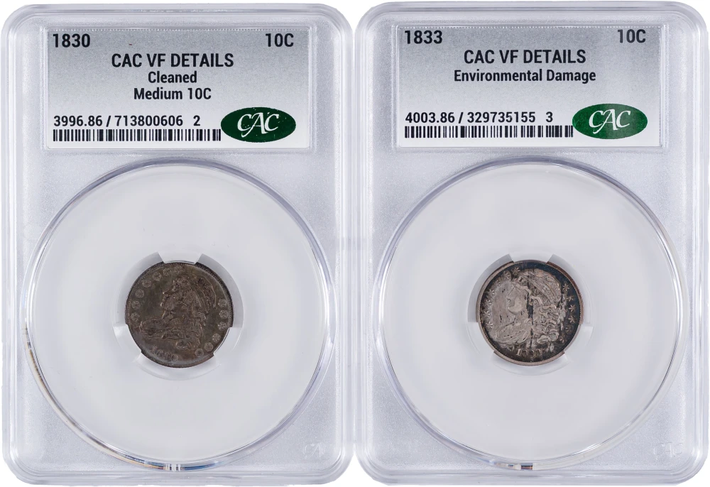CAC VF Details Bust Dime Pair