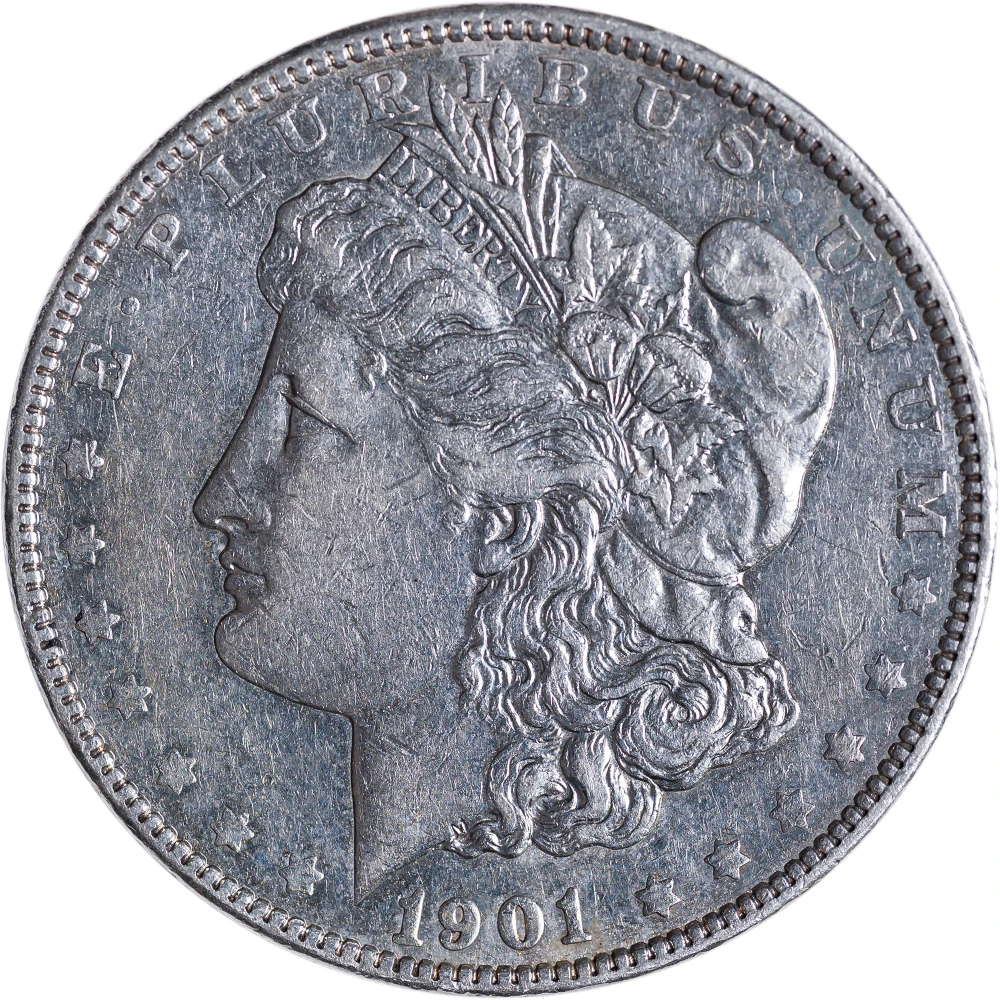 AU-50 Details 1901 Morgan Dollar