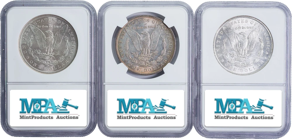 NGC MS-63 Morgan Dollar Trio