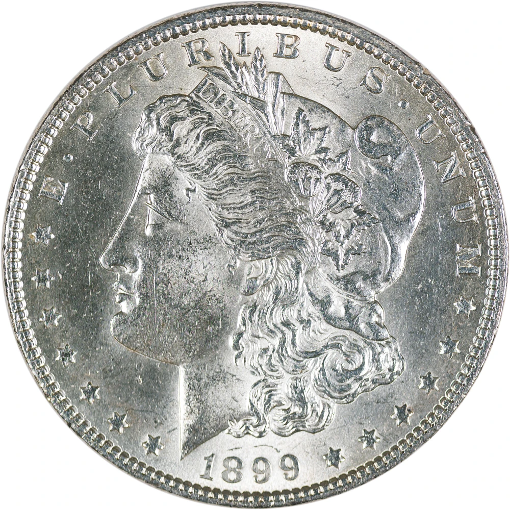 MS-60 or Finer 1899 Morgan Dollar