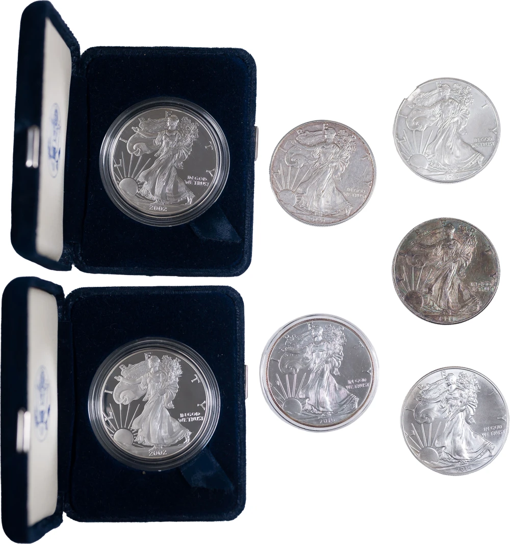 Five-Piece American Silver Eagle Group