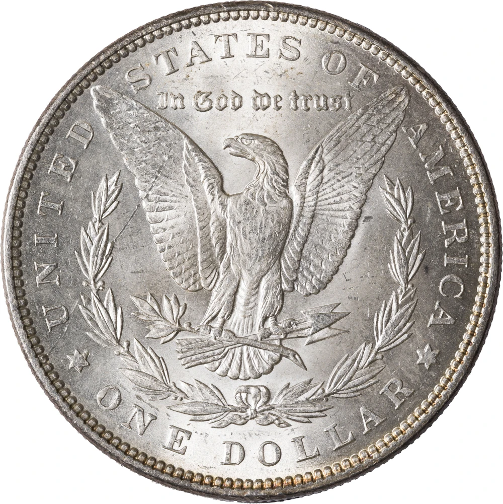 BU Scratched 1899 Morgan Dollar