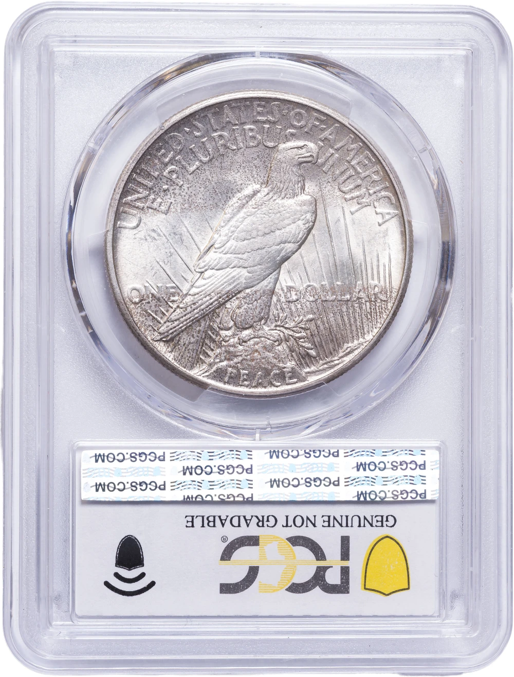 PCGS AU Details 1921 Peace Dollar