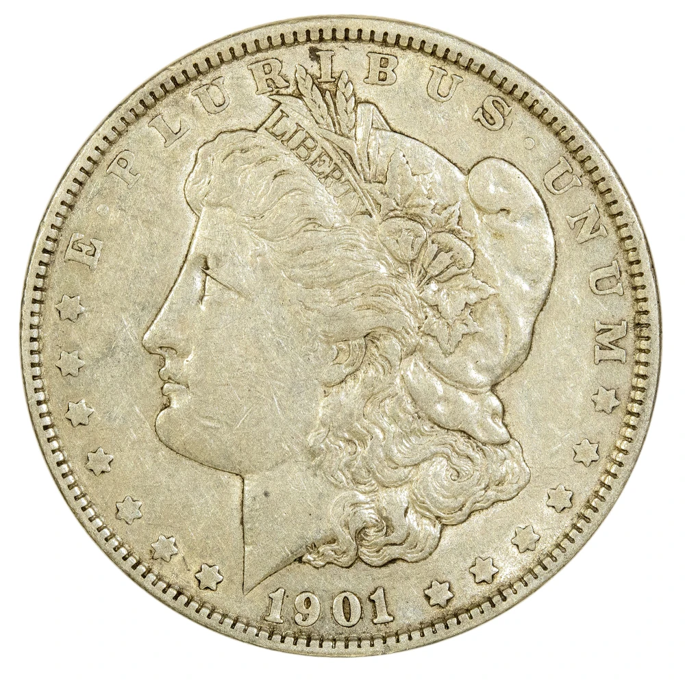 EF-45 Details 1901 Morgan Dollar