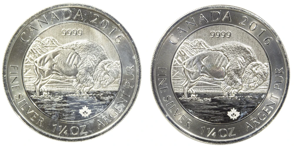 Pair of 2016 Canadian 1.25 Oz Silver Buffalo's