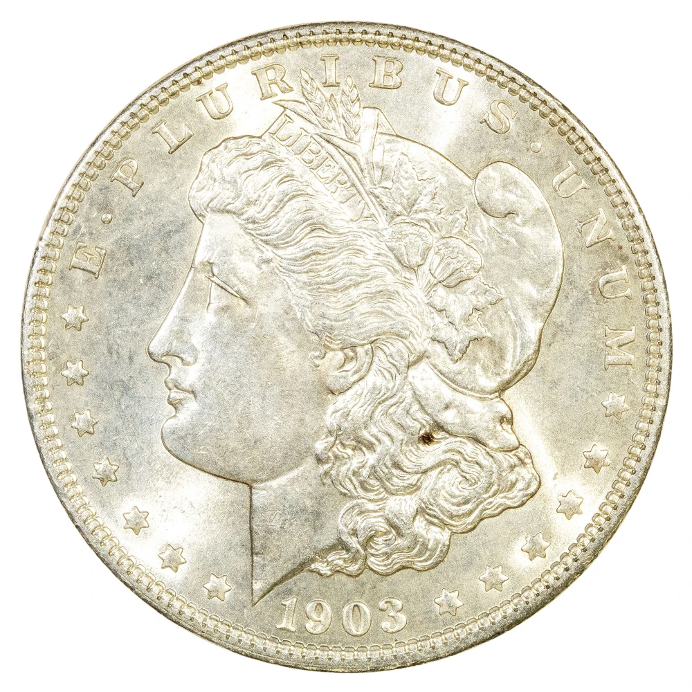 Choice MS-64 1903 Morgan Dollar