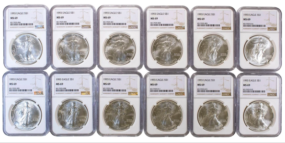 12 Pcs NGC MS-69 1993 Silver Eagles