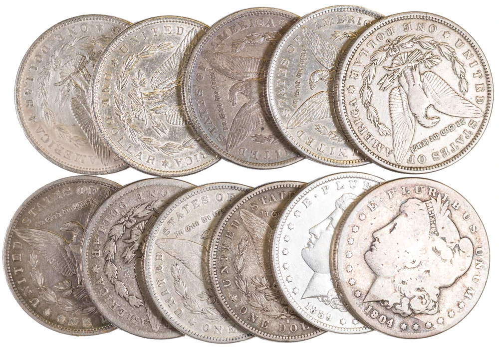 11 Different Circulated Morgan Dollars