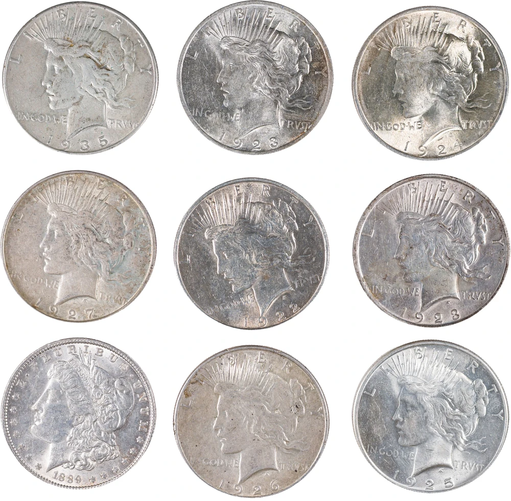9 Pieces Mixed Morgan And Peace Dollars
