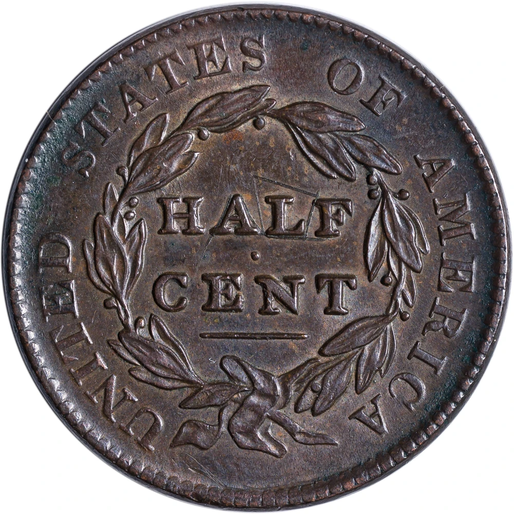 AU-50 1828 13 Stars Half Cent