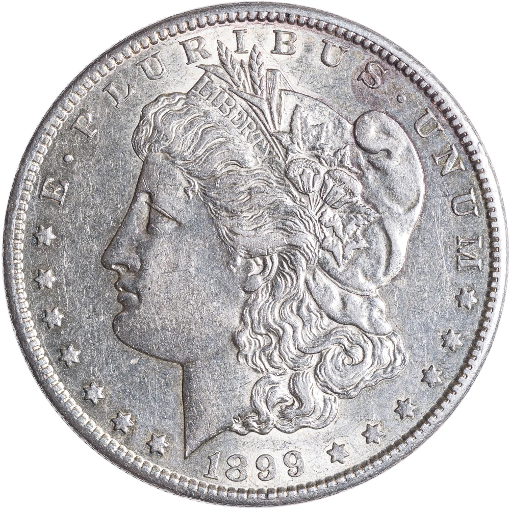 AU Details 1899-S Morgan Dollar