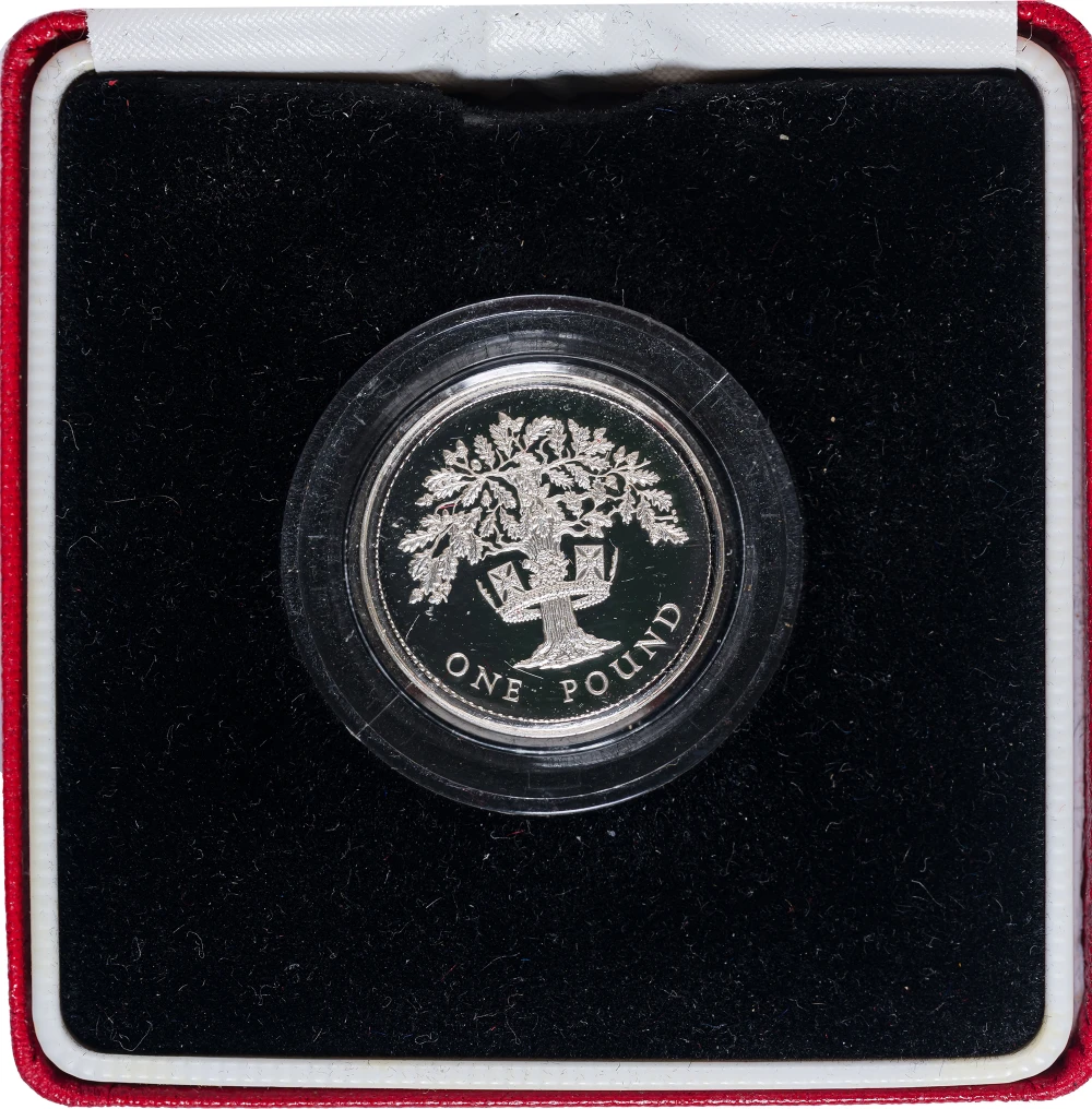 Great Britian. 1987 1 Pound Proof Silver Piedfort