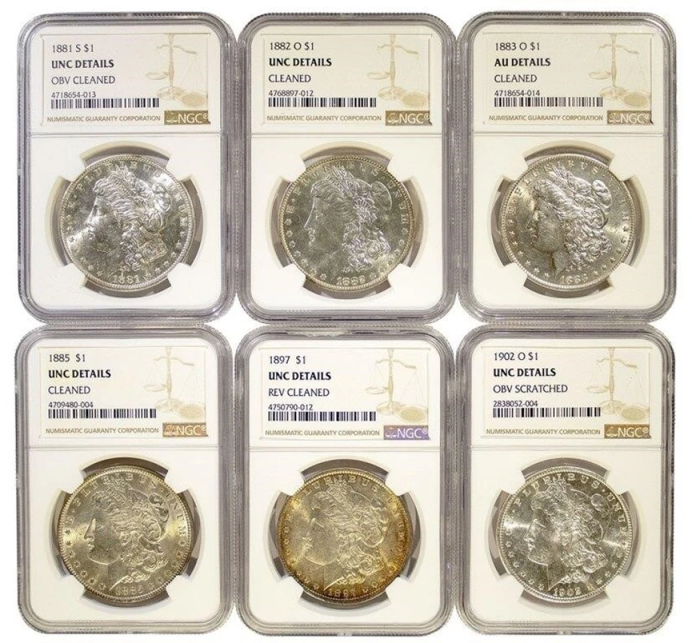 6 Piece NGC "Details" Morgan Lot