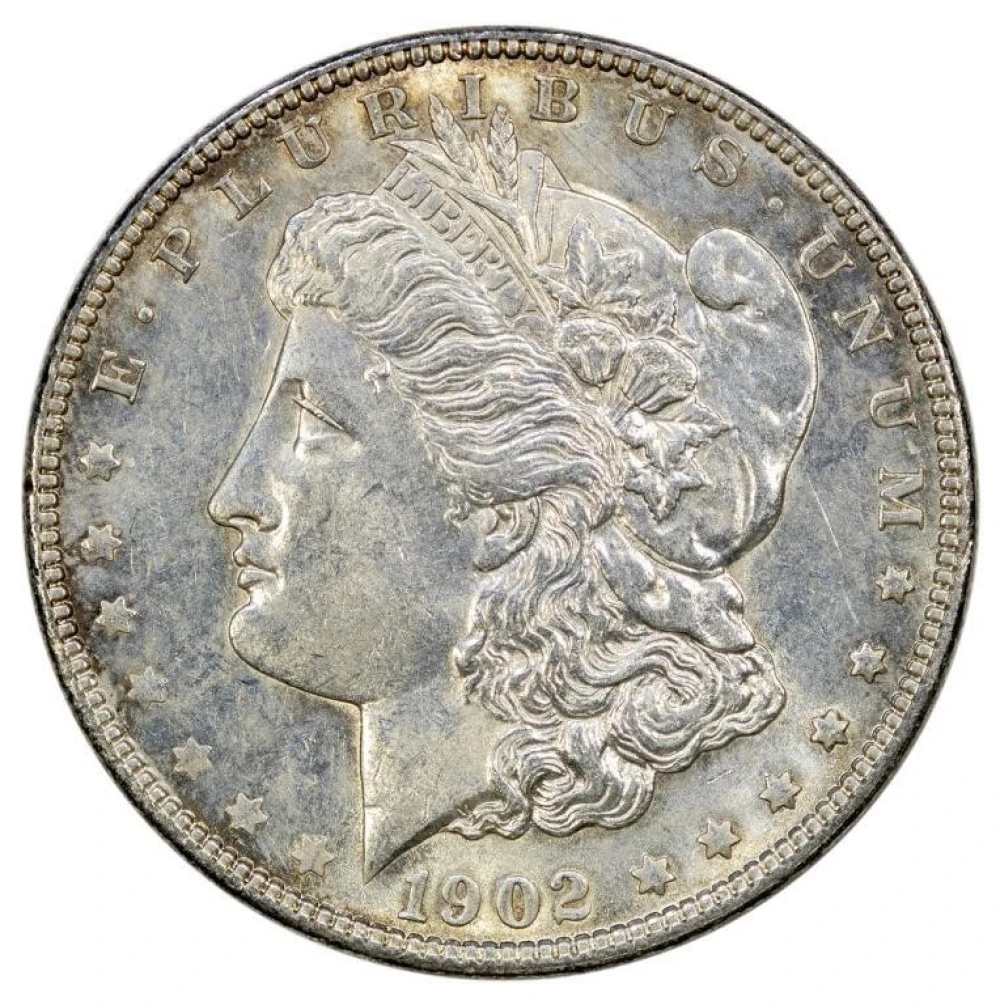 MS-60 or Fine 1902 Morgan $1