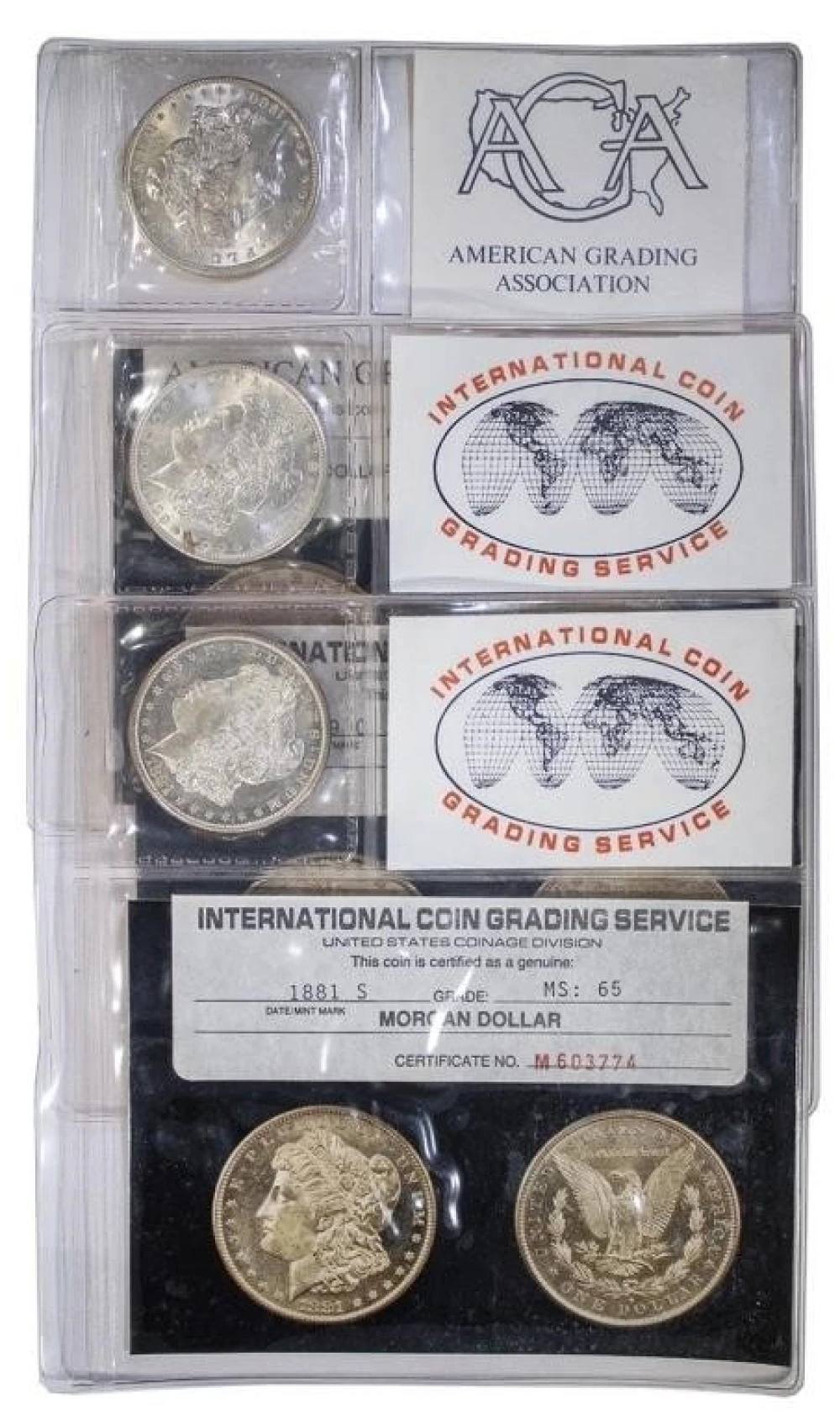 Trio of Morgans with Older Photo Certificates