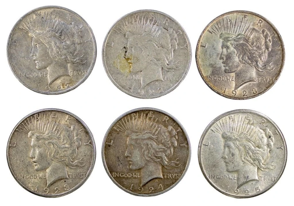 6 pcs Circulated Peace $1