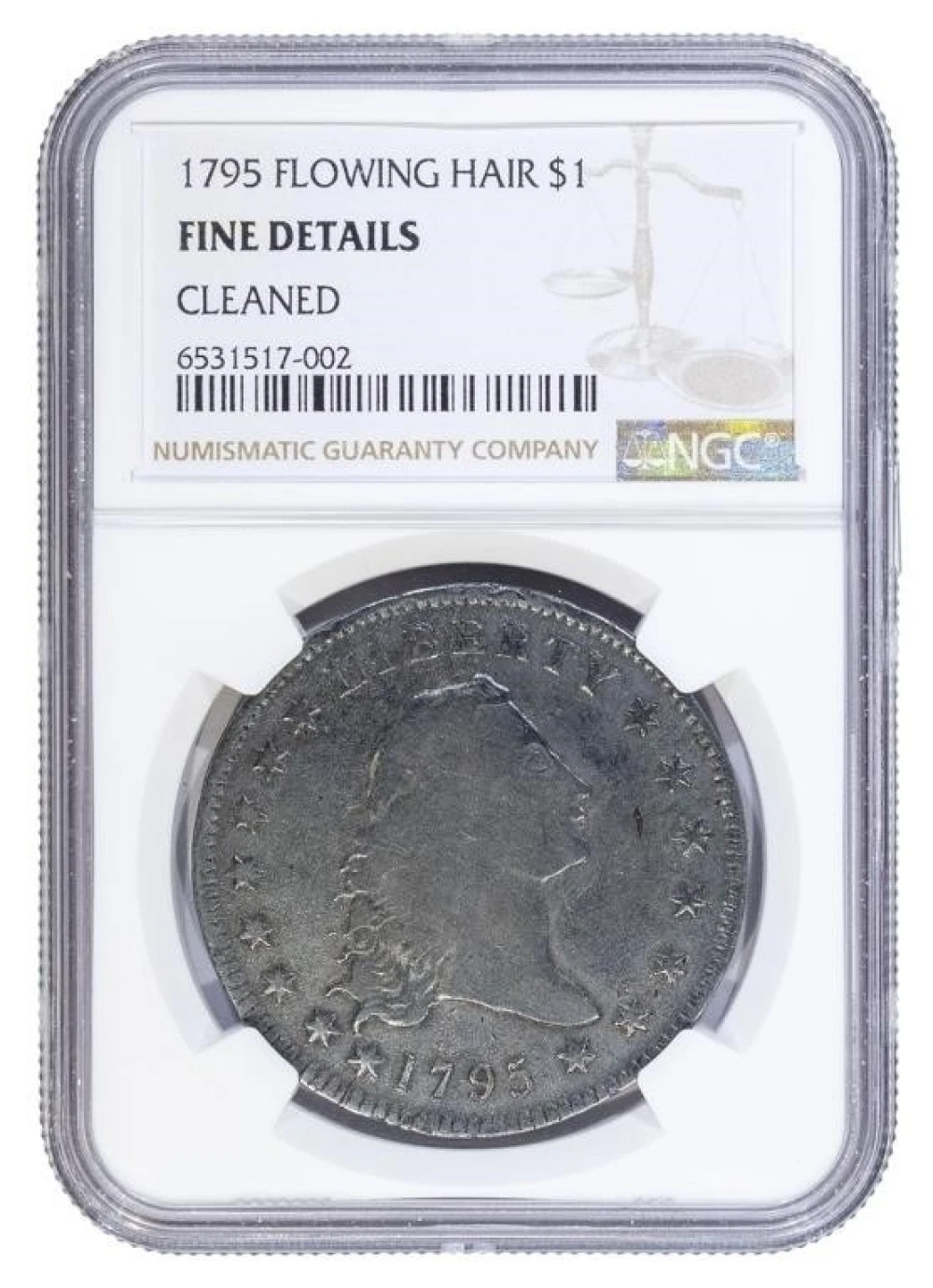 NGC Fine Details 1795 Flowing Hair $1