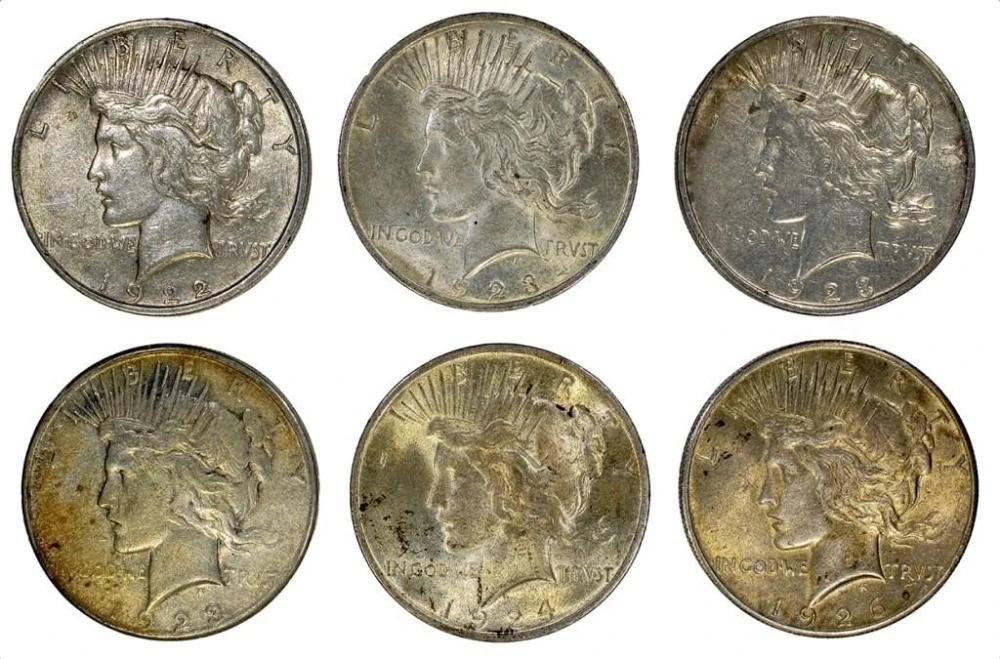 6 Piece Peace Dollar Lot