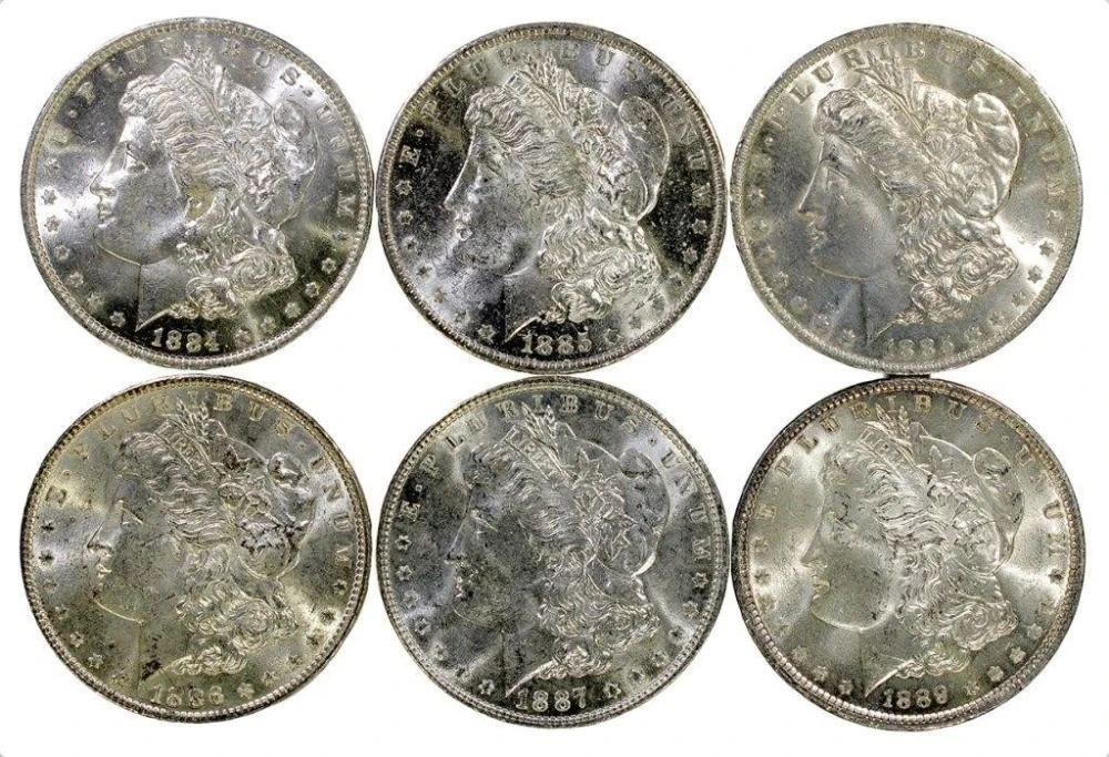 6 Pieces Mint State Pre-21 Morgan $1