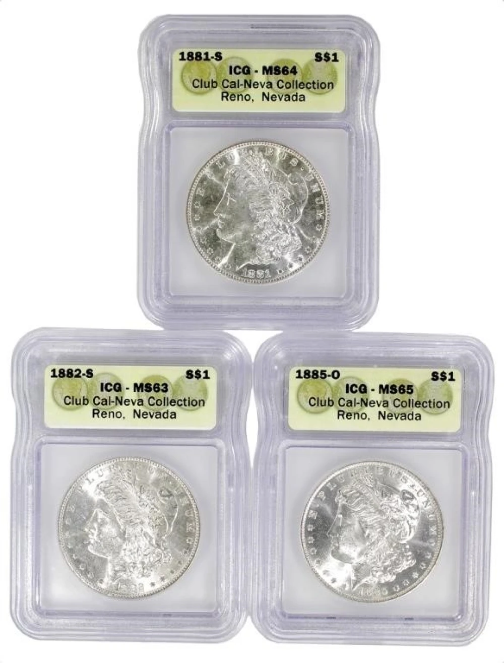 ICG Certified Morgan Trio