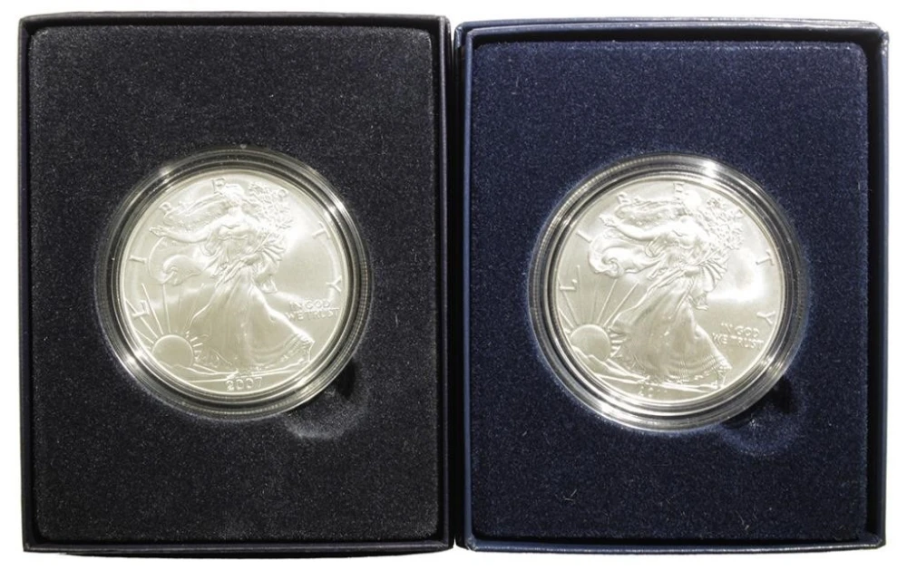 Pair of Burnished American Eagle Silver $1
