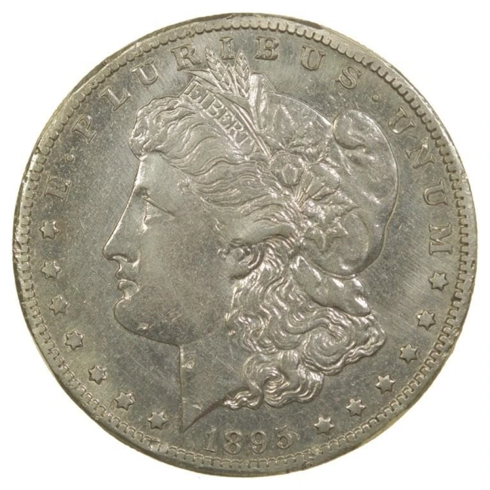 AU Details 1895-S Morgan $1