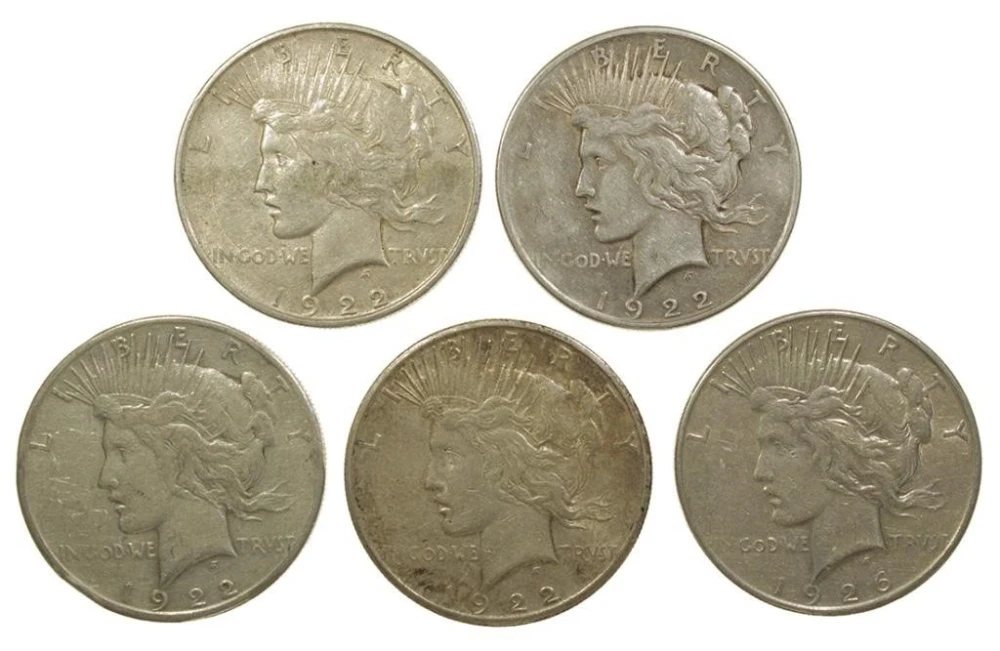 5 Piece Lot Of Circulated Piece Dollars