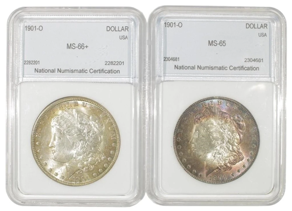 Pair of 1901-O Morgan Dollars
