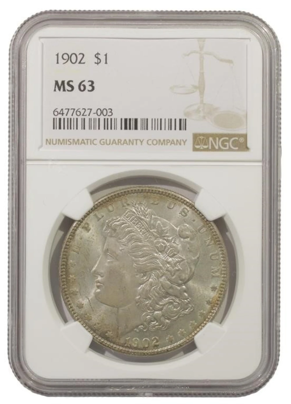 Toned Choice Mint State 1902 Morgan $1