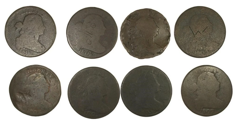 Cull Early Large Cent Group