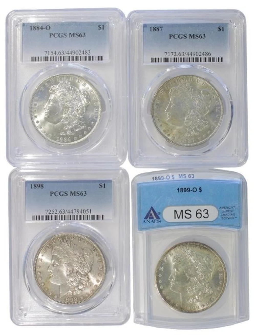 Choice Certified Morgan Quartet