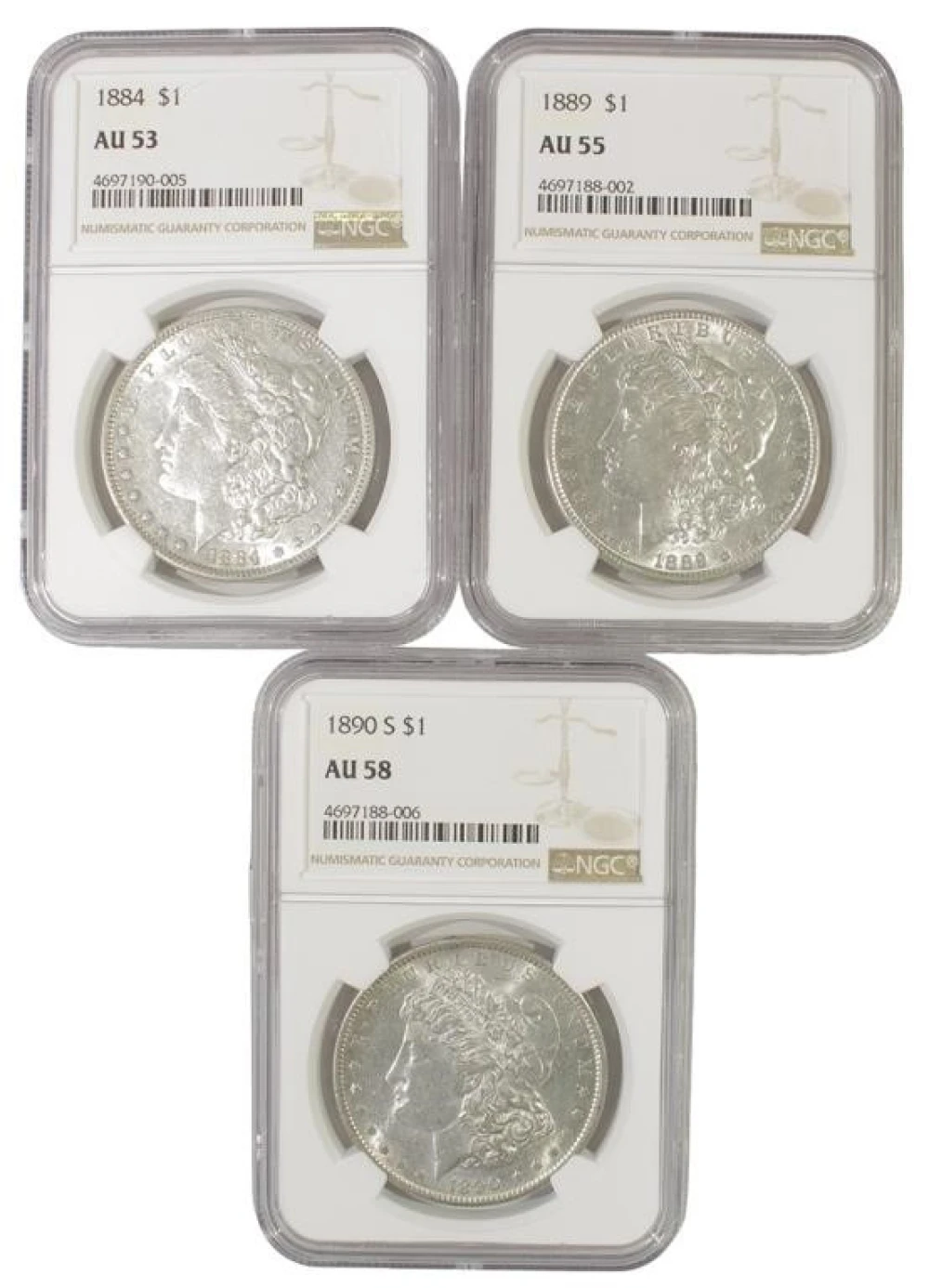 Certified Morgan Trio