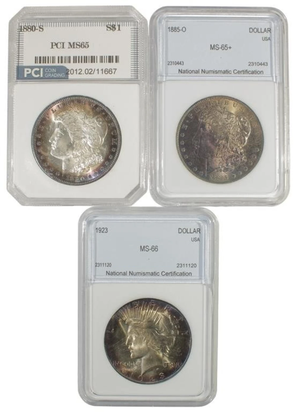 Generic Certified Morgan Dollar Trio