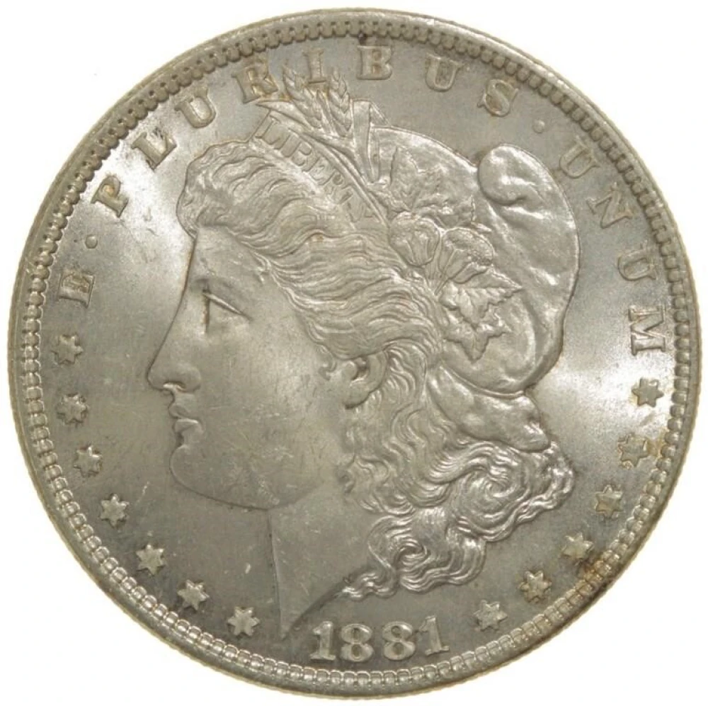 Choice 1881 Morgan Dollar