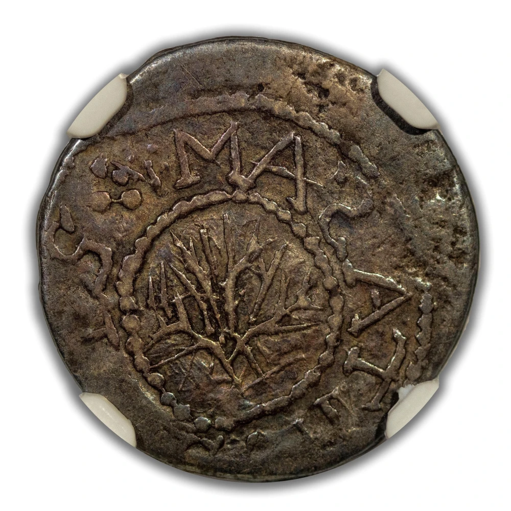 NGC AU Details 1652 Oak Tree Threepence