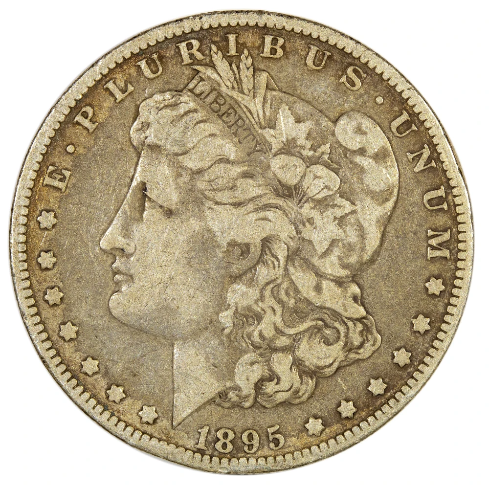 Fine-15 Details 1895-O Morgan $1