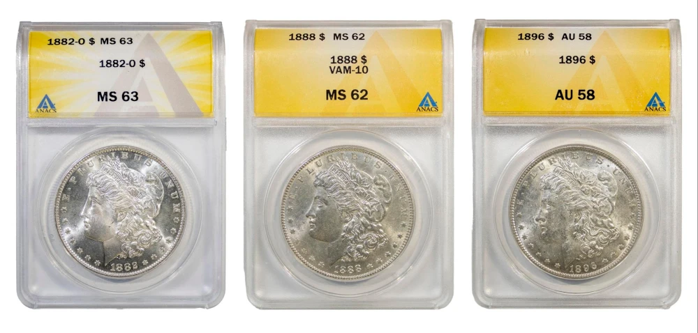 ANACS-Certified Morgan Dollar Threesome