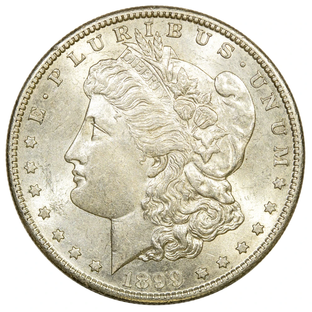 MS-60 1899-S Morgan Dollar