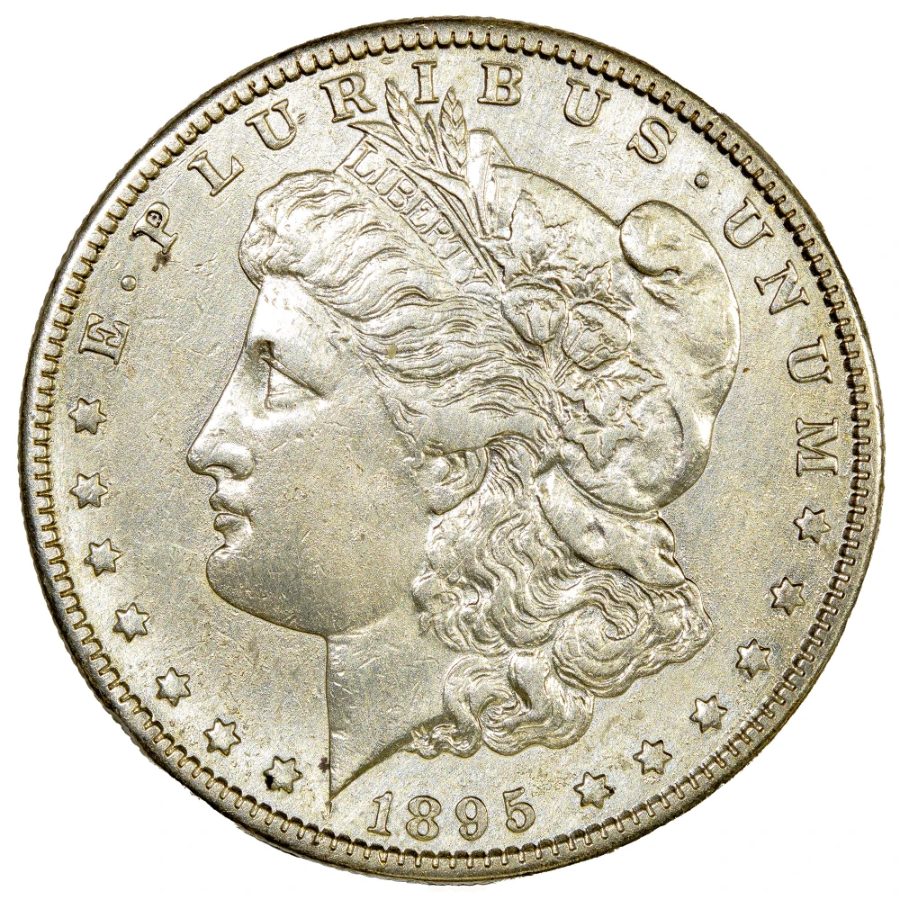 AU Details 1895-S Morgan Dollar