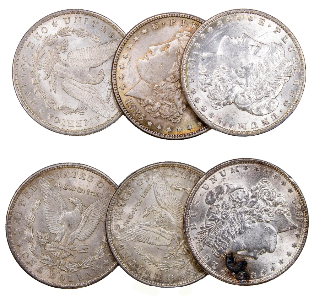 1/2 Dozen Choice AU Morgan Dollars